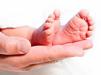 Tiny baby youngest to donate o...